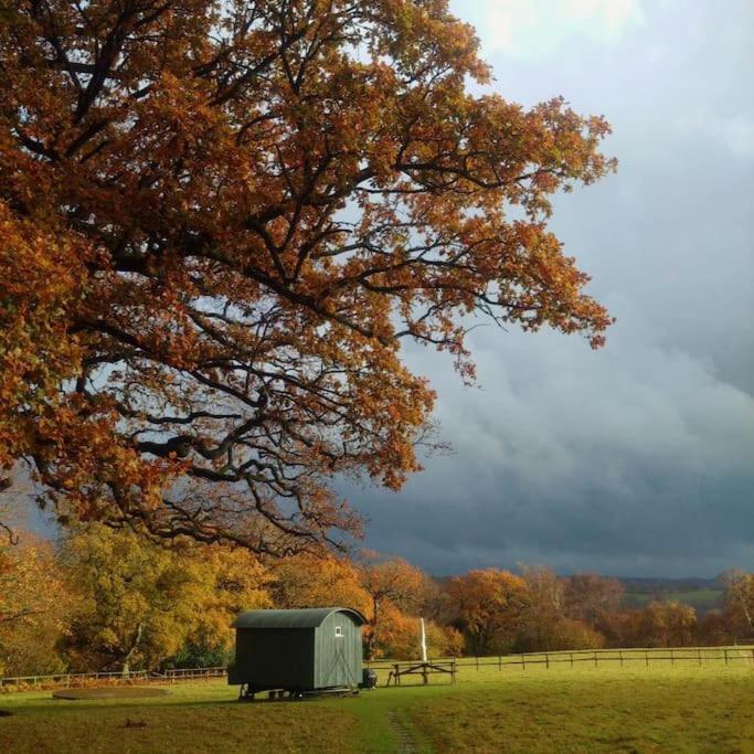 Skylark Shepherds Hut Royal Tunbridge Wells Exterior foto